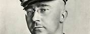 Heinrich Himmler Picture