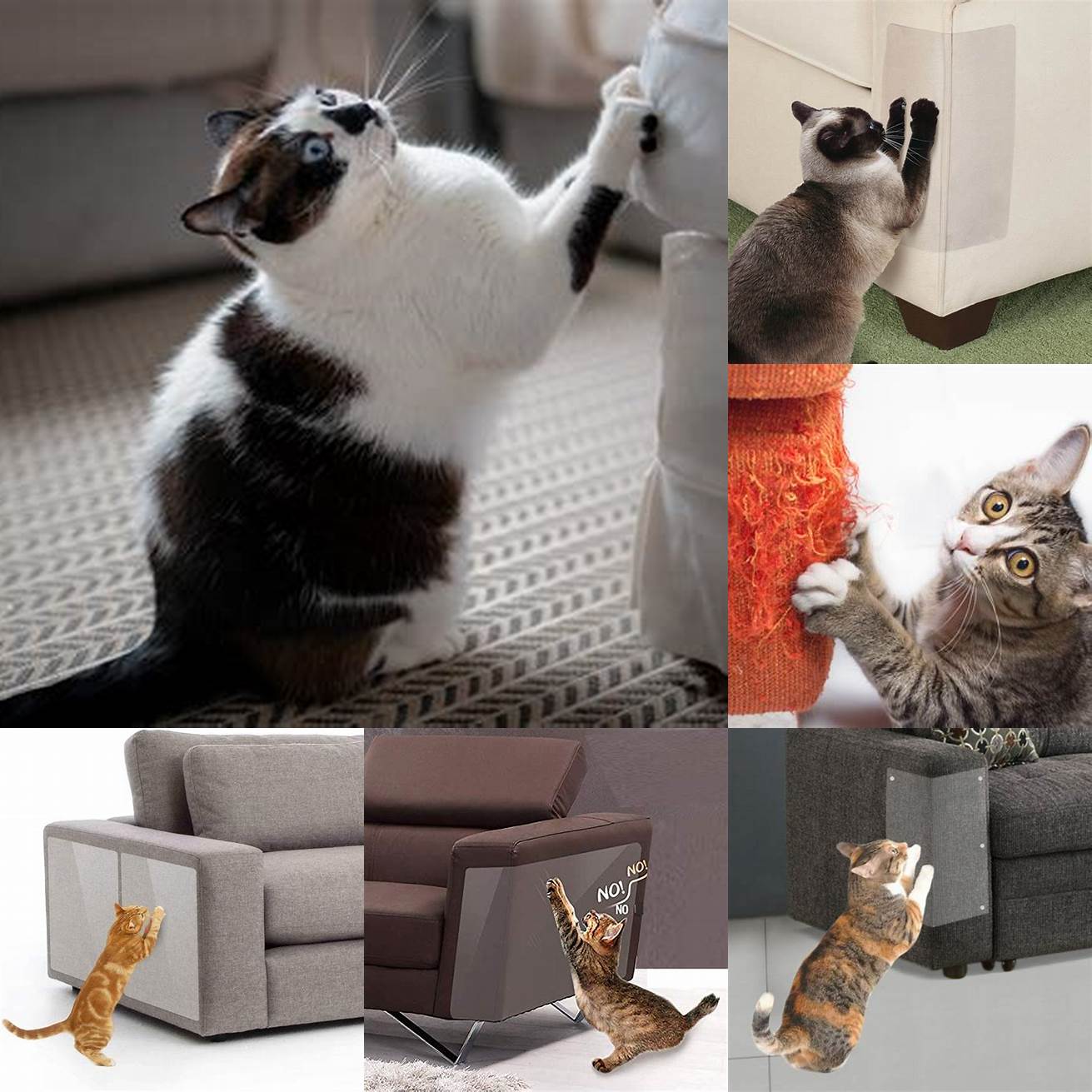 Helps promote healthy scratching behavior which can prevent damage to furniture and other household items