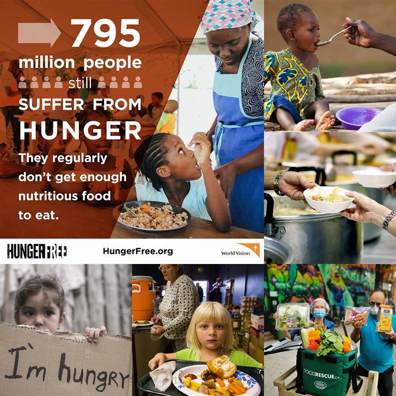 Helps to address food insecurity and hunger