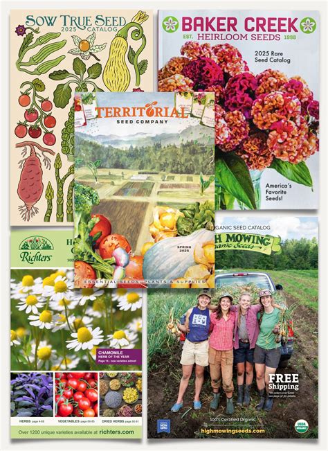 Herb Seed Catalogs