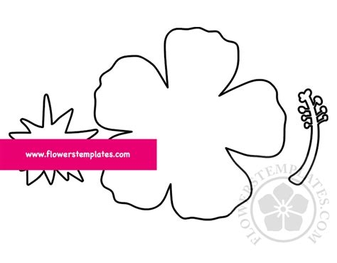Hibiscus Flower Template