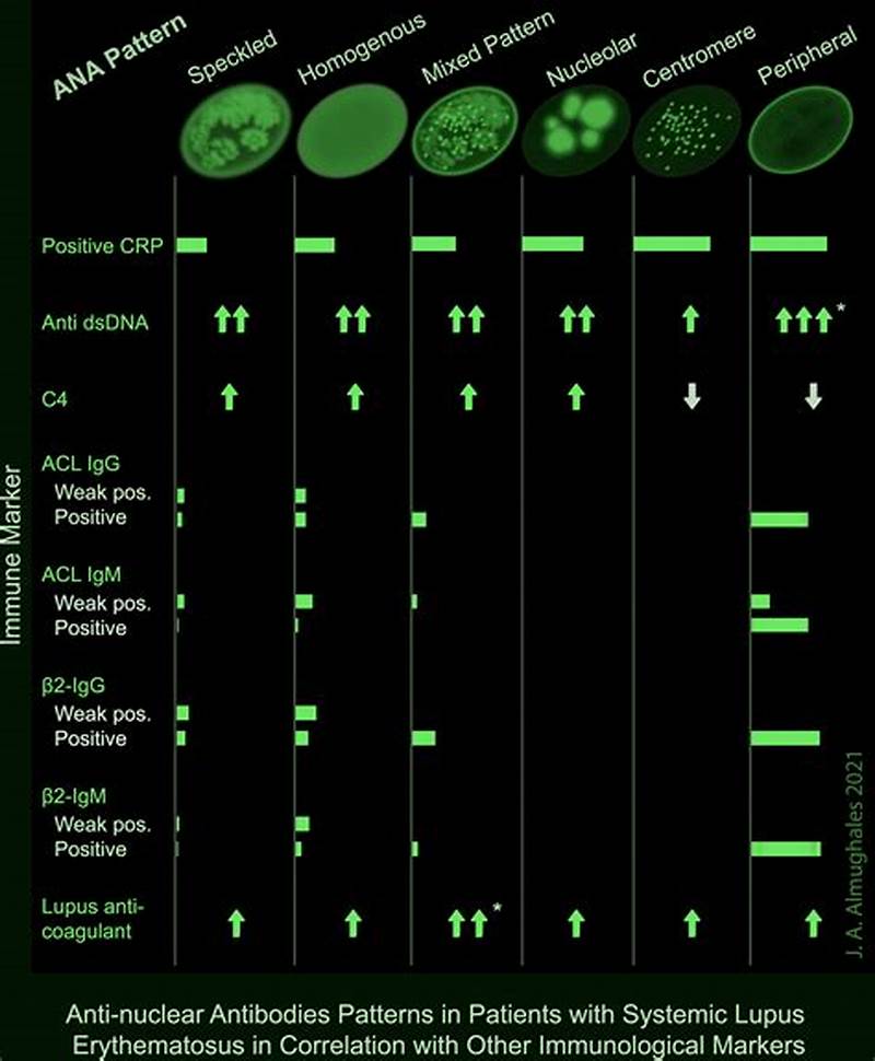 Homogenous Pattern Ana