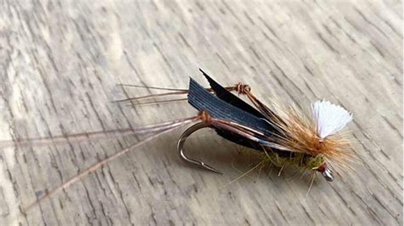 Hopper Fly Pattern