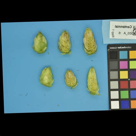 Hops Catalog.data.gov Dataset Geo-portal