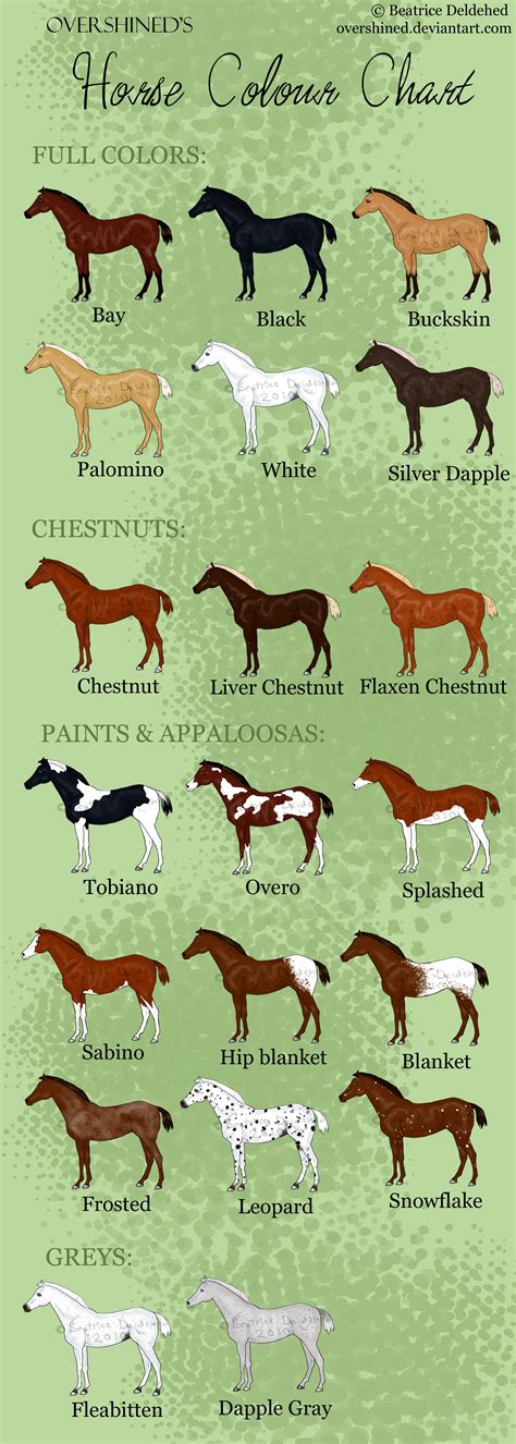 Horse Coloring Chart