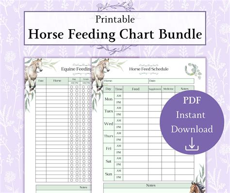 Horse Feeding Chart