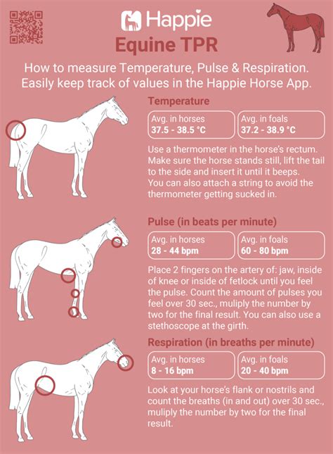 Horse Temperature Chart