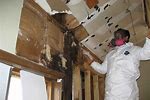 House Mold Removal