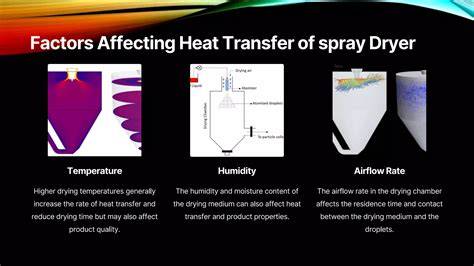 How Convection Airflow Affects Meringue Drying