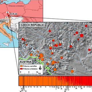 How Is A Geographical Index Cataloged In Rda