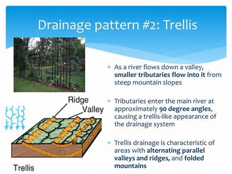 How Is Trellis Drainage Pattern Formed