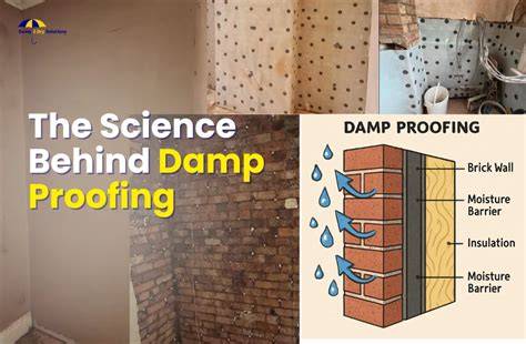 How Moist Air Slows Crust Formation on Dough Building a Humid Proofing Space at Home