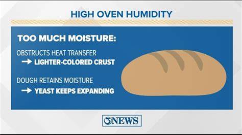 How Oven Humidity Shapes Bread Crust Development