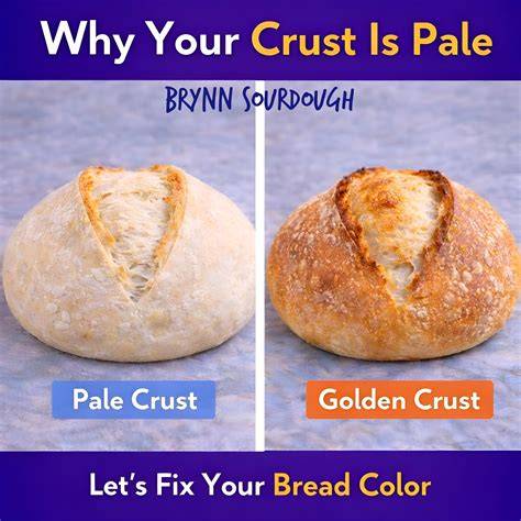 How Oven Humidity Shapes Bread Crust Development pale soft bread crust problem