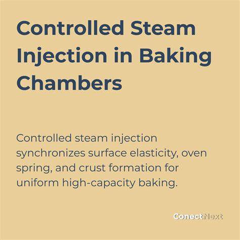How Steam Injection Alters Pastry Dough Behavior baking tools steam pan spray bottle setup