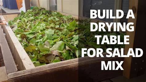 How Steam Ovens Keep Food From Drying Out for Beginners