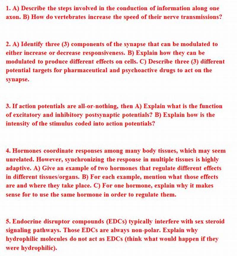 How To Answer Questions In Paragraph Form