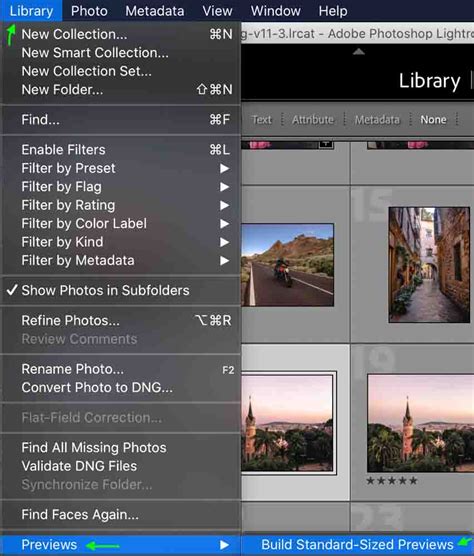 How To Delete Pictures From Lightroom Catalog