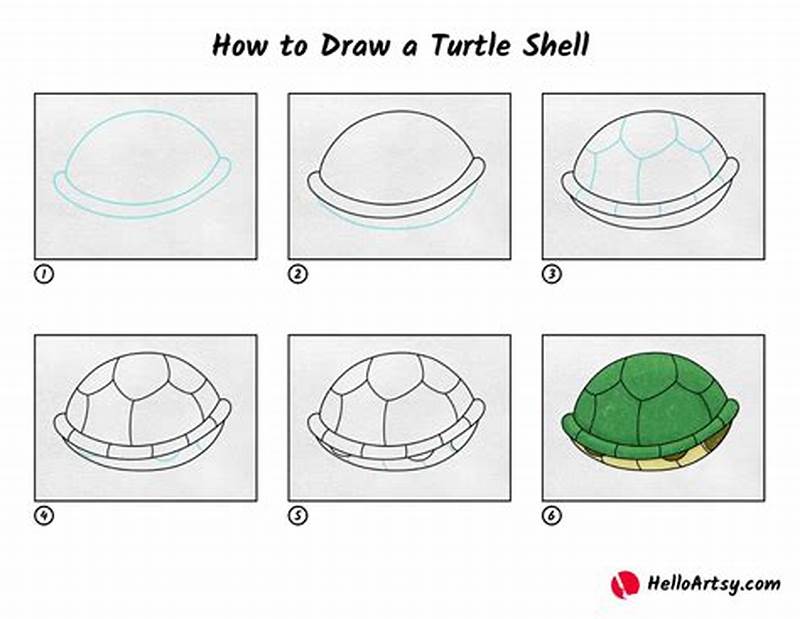 How To Draw A Turtle Shell Pattern