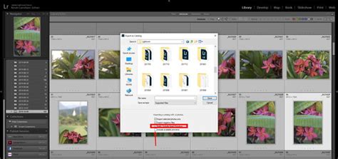 How To Export Lightroom Catalog With Smart Previews