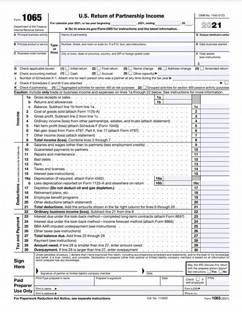 How To File Form 1065 Electronically
