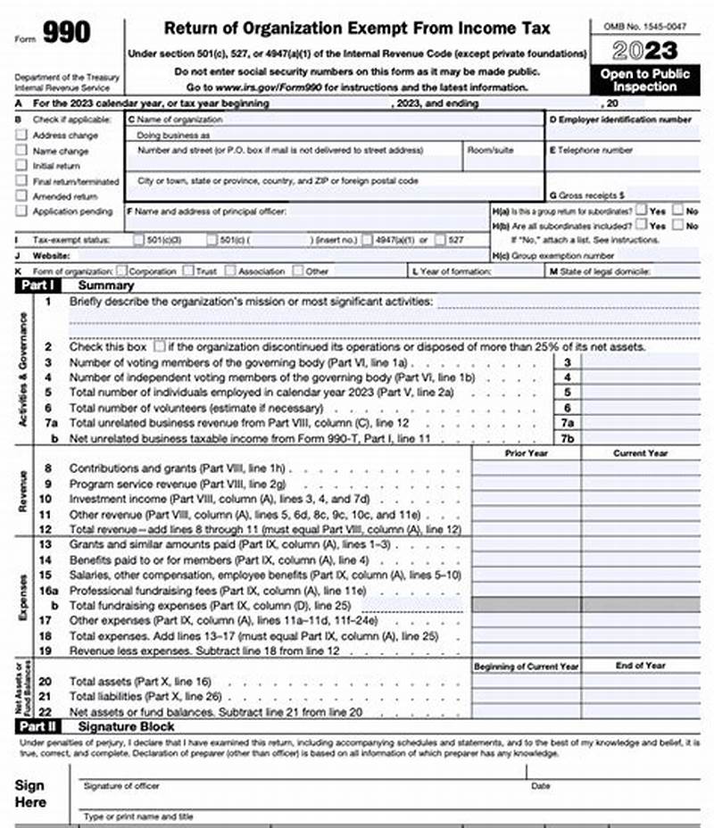 How To File Form 990 Pf Electronically