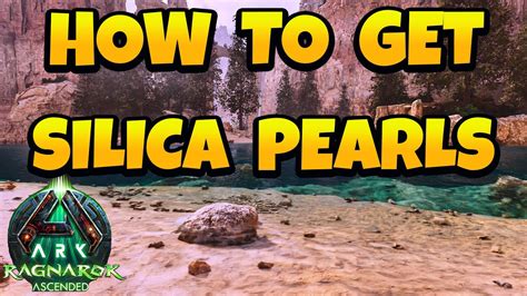 How To Get Silica Menu In The Catalogo