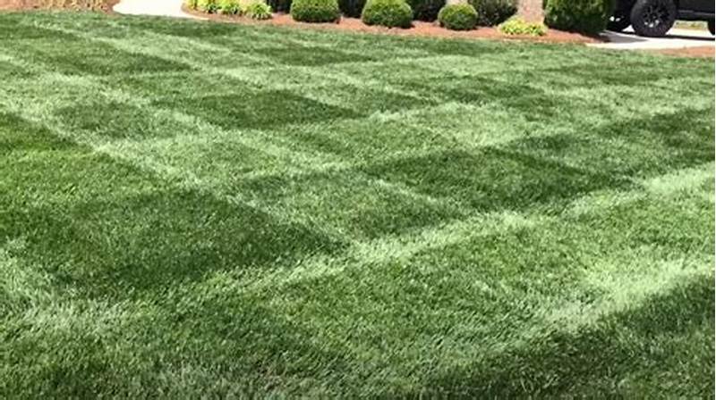 How To Make Checkerboard Pattern In Grass