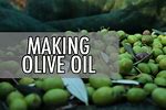How To Make Olive Oil