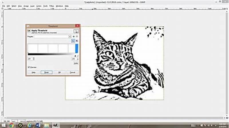 How To Make Printable Coloring Pages Using Gimp