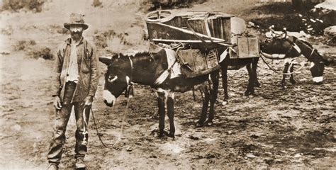 How To Purchase A Gold Claim