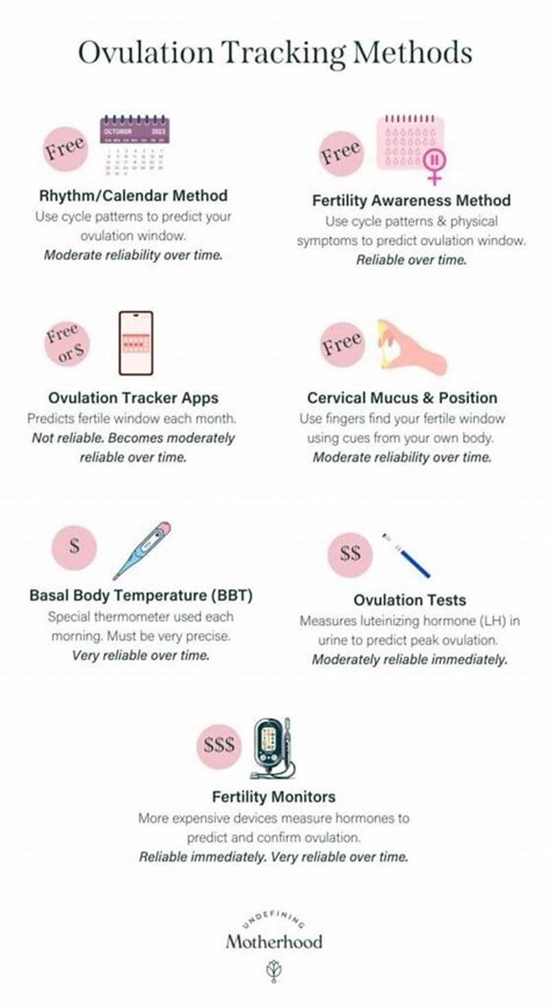 How To Track Ovulation Calendar Method