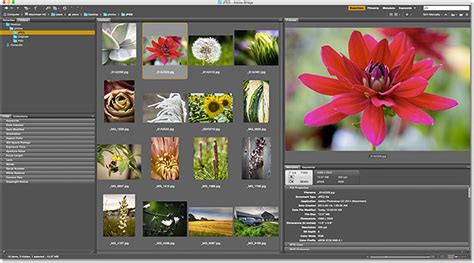 How To Use Adobe Bridge To Make Catalogs