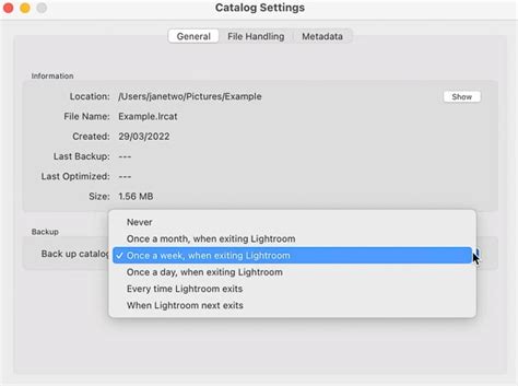 How To Use Backup Catalog In Lightroom