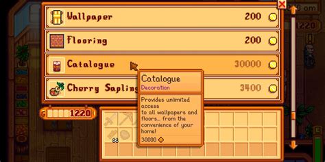 How To Use Catalogue Stardew