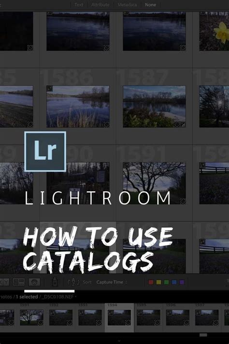 How To Use Lightroom Across Multiple Catalogs