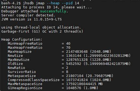 How can I find Java heap size and memory used Linux