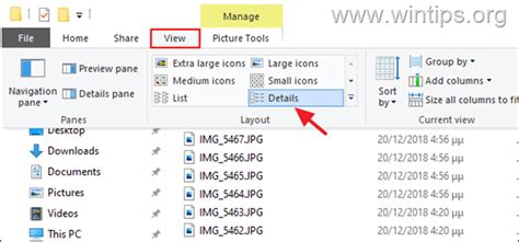 How can I find scripts directory duplicate