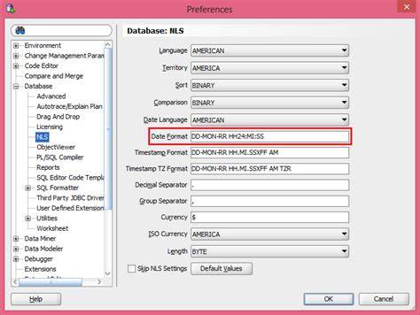 How can I set a custom date time format in Oracle SQL Developer