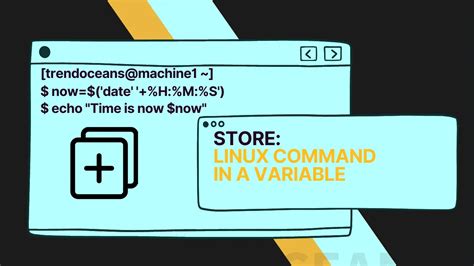How can I store a command in a variable in a shell script