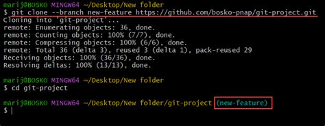 How do I clone a specific Git branch duplicate