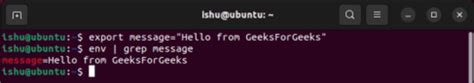 How do I delete an exported environment variable