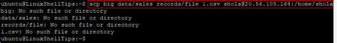 How do I escape spaces in path for scp copy in Linux