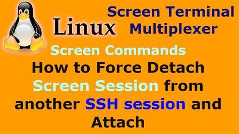 How do I force detach Screen from another SSH session