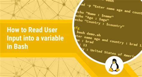 How do I read user input into a variable in Bash