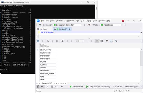 How do I show the schema of a table in a MySQL database