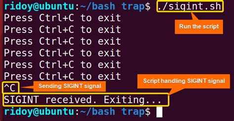 How do I trap CtrlC SIGINT in a C console app