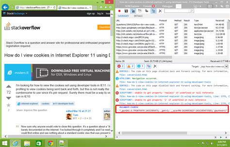 How do I view cookies in Internet Explorer 11 using Developer Tools