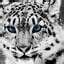 How does Java handle integer underflows and overflows and how would you check for it