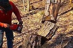 How to Cut Down a Ceiter Tree Leaning towards House